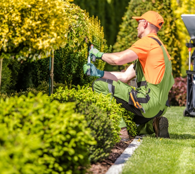 ARBRE JARDIN ENVIRONNEMENT Paysagiste Libourne Conception De Jardins 2