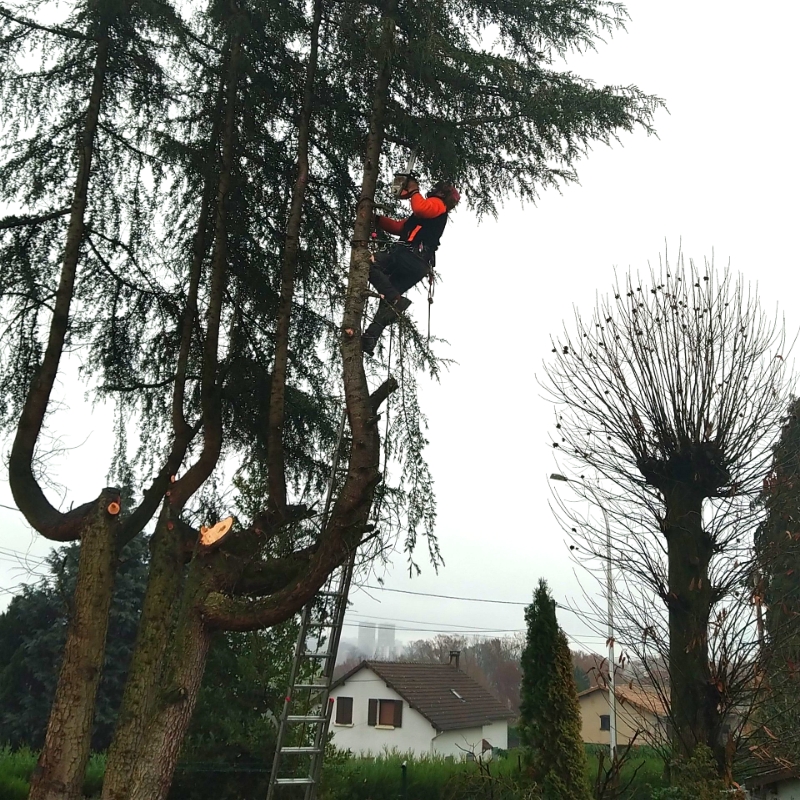 ARBRE JARDIN ENVIRONNEMENT Paysagiste Libourne Realisation 4