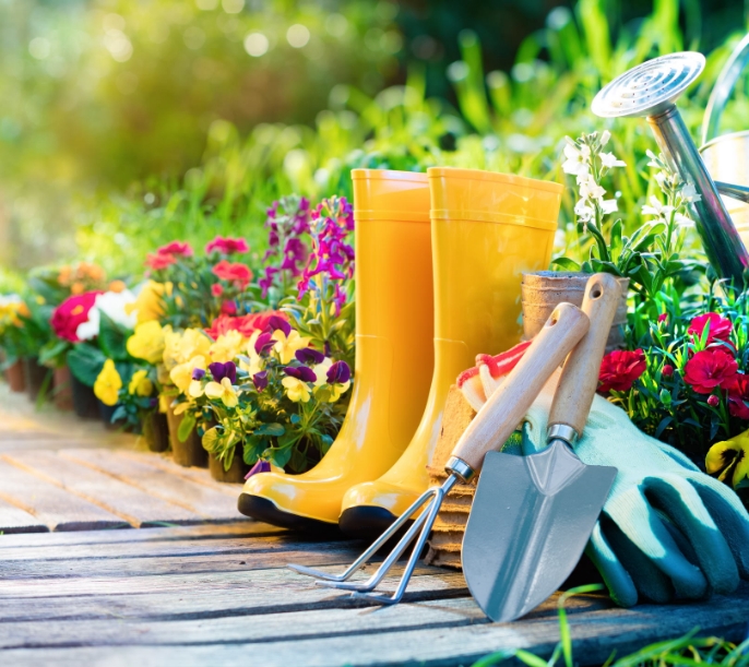 ARBRE JARDIN ENVIRONNEMENT Paysagiste Libourne Avis ARBRE JARDIN ENVIRONNEMENT Paysagiste Libourne Avis