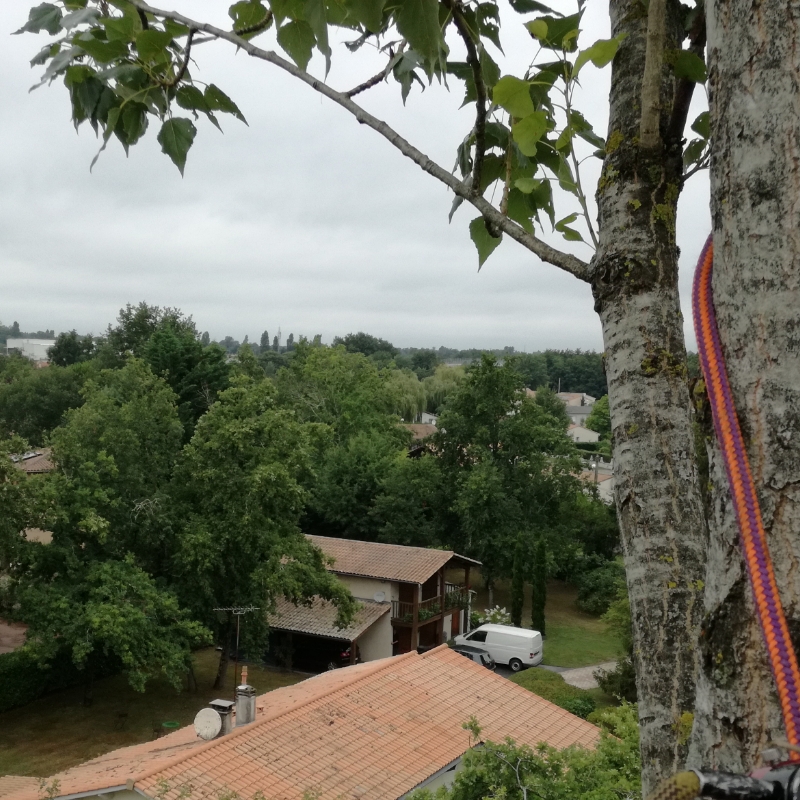 ARBRE JARDIN ENVIRONNEMENT Paysagiste Libourne Realisations 1