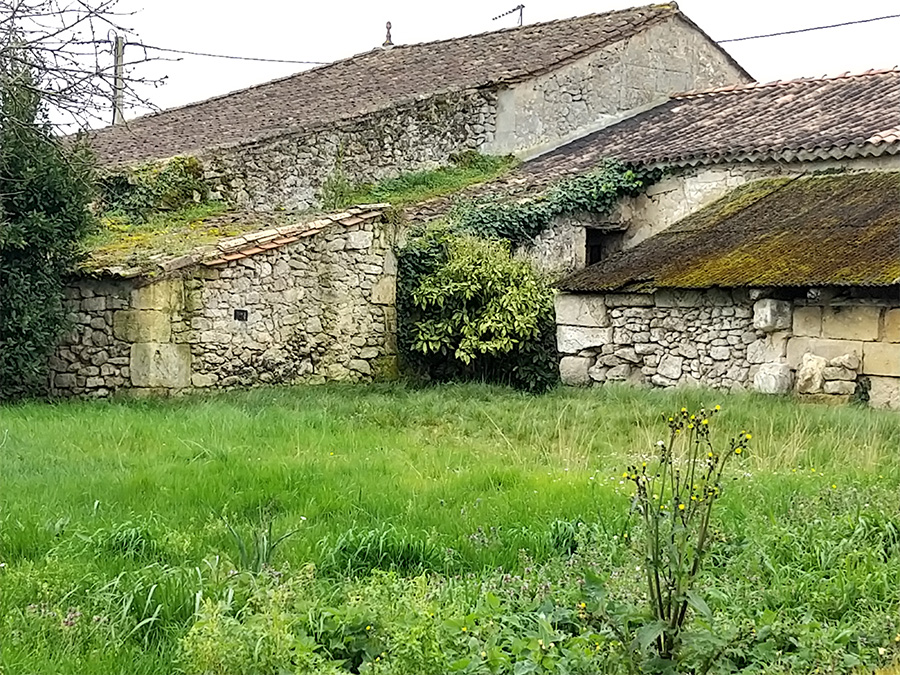 ARBRE JARDIN ENVIRONNEMENT Paysagiste Libourne 02 2