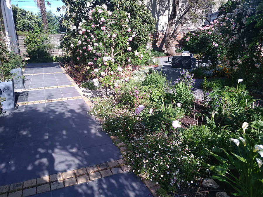 ARBRE JARDIN ENVIRONNEMENT Paysagiste Libourne 04 2