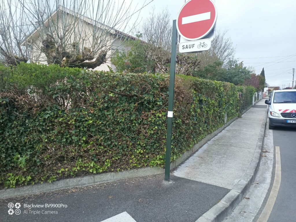 ARBRE JARDIN ENVIRONNEMENT Paysagiste Libourne Elagages Entretien Et Divers 28