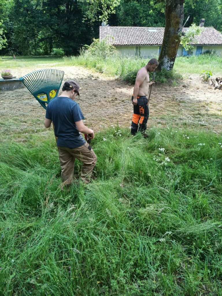 ARBRE JARDIN ENVIRONNEMENT Paysagiste Libourne Elagages Entretien Et Divers 29