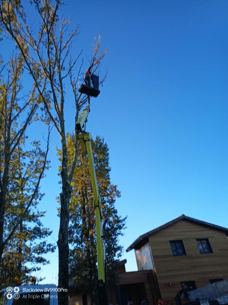 ARBRE JARDIN ENVIRONNEMENT Paysagiste Libourne Elagages Entretien Et Divers 50