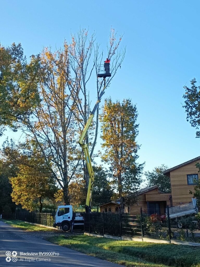 ARBRE JARDIN ENVIRONNEMENT Paysagiste Libourne Elagages Entretien Et Divers 51