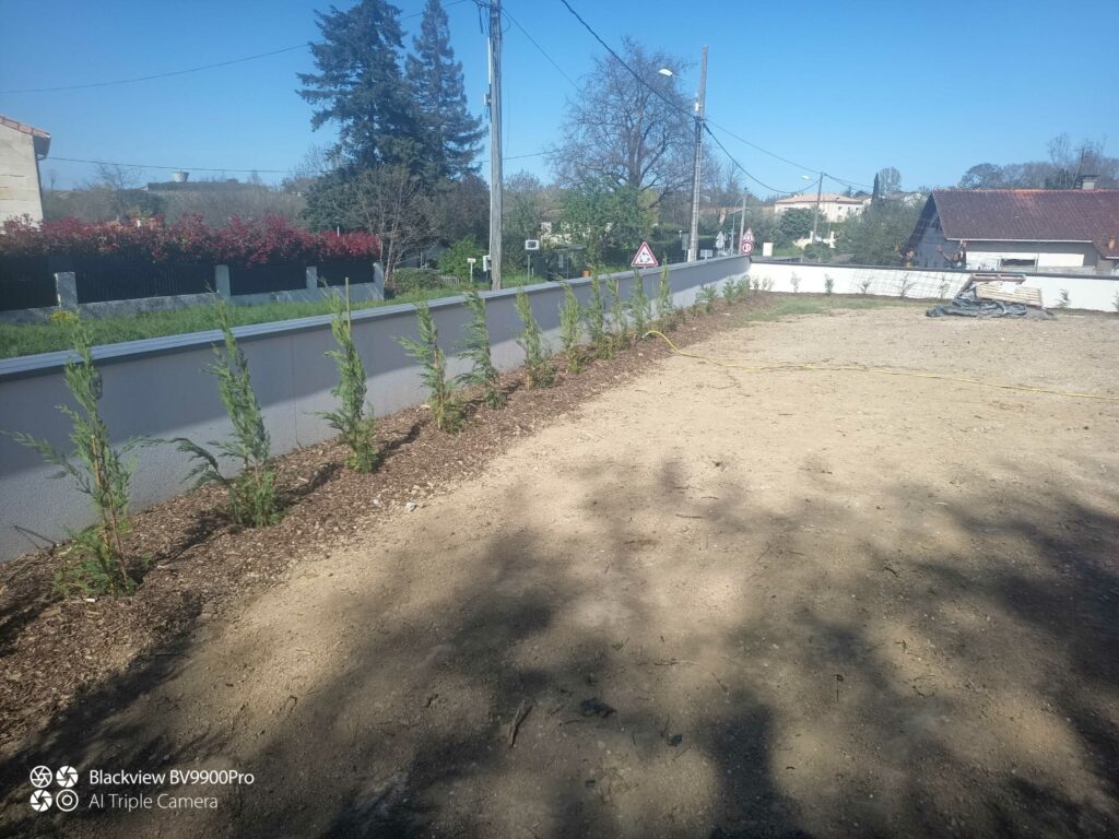 ARBRE JARDIN ENVIRONNEMENT Paysagiste Libourne Elagages Entretien Et Divers 55