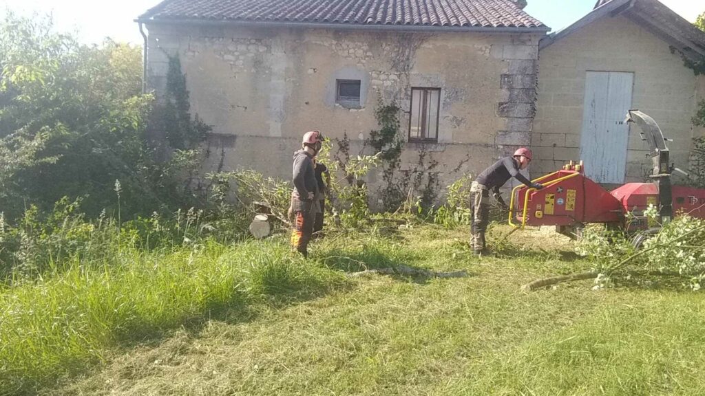 ARBRE JARDIN ENVIRONNEMENT Paysagiste Libourne Elagages Entretien Et Divers 56