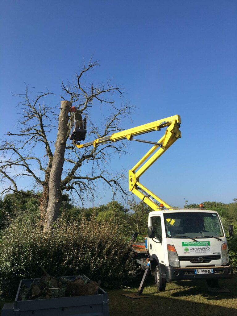 ARBRE JARDIN ENVIRONNEMENT Paysagiste Libourne Elagages Entretien Et Divers 61