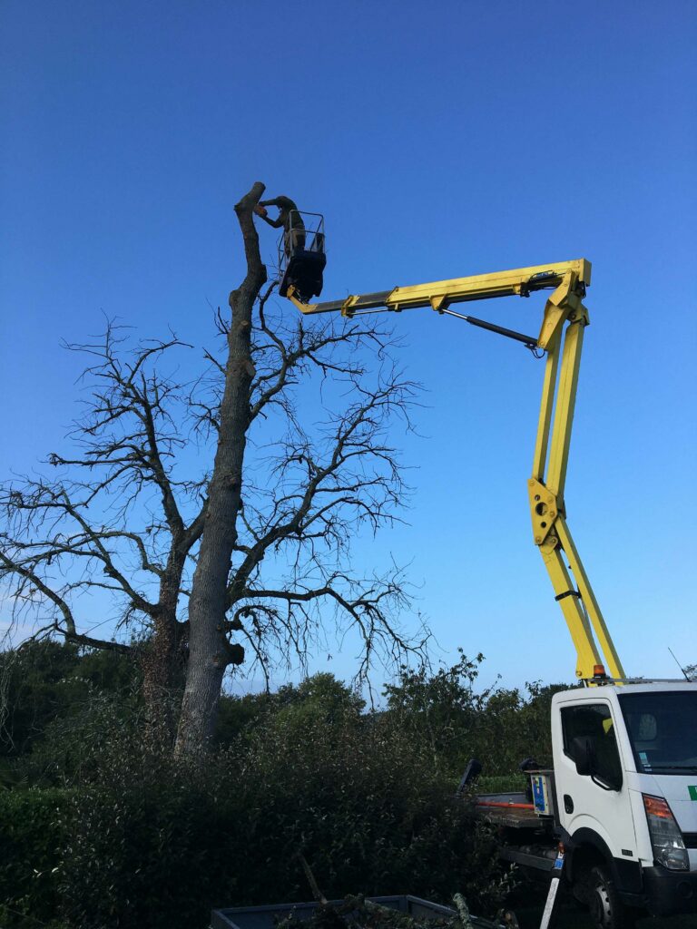 ARBRE JARDIN ENVIRONNEMENT Paysagiste Libourne Elagages Entretien Et Divers 66