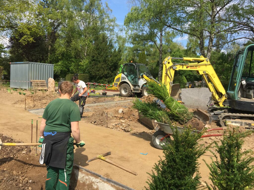 ARBRE JARDIN ENVIRONNEMENT Paysagiste Libourne Elagages Entretien Et Divers 70