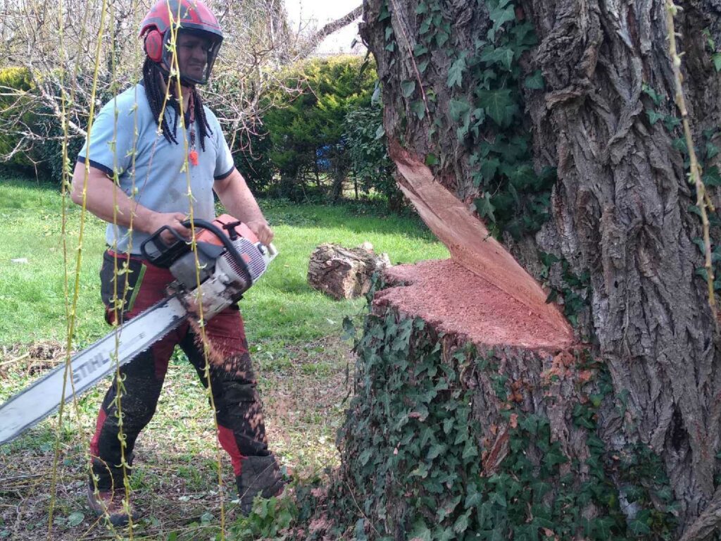 ARBRE JARDIN ENVIRONNEMENT Paysagiste Libourne Elagages Entretien Et Divers 77