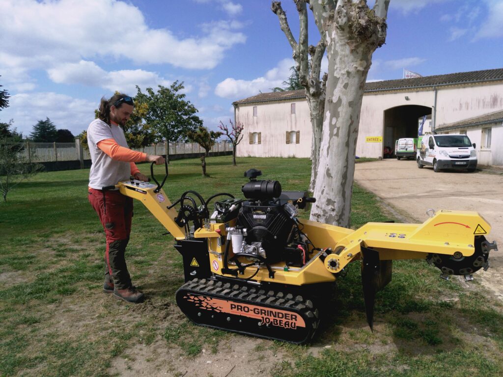 ARBRE JARDIN ENVIRONNEMENT Paysagiste Libourne Elagages Entretien Et Divers 78