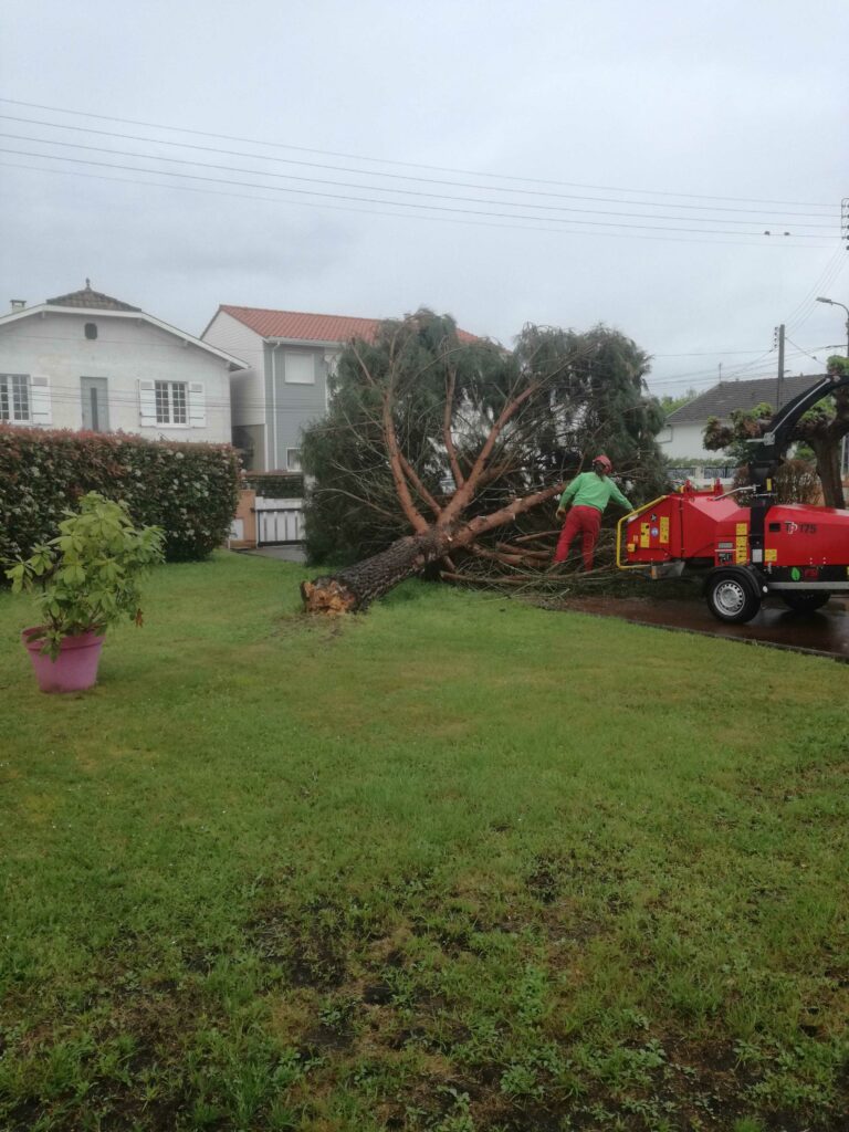 ARBRE JARDIN ENVIRONNEMENT Paysagiste Libourne Elagages Entretien Et Divers 80