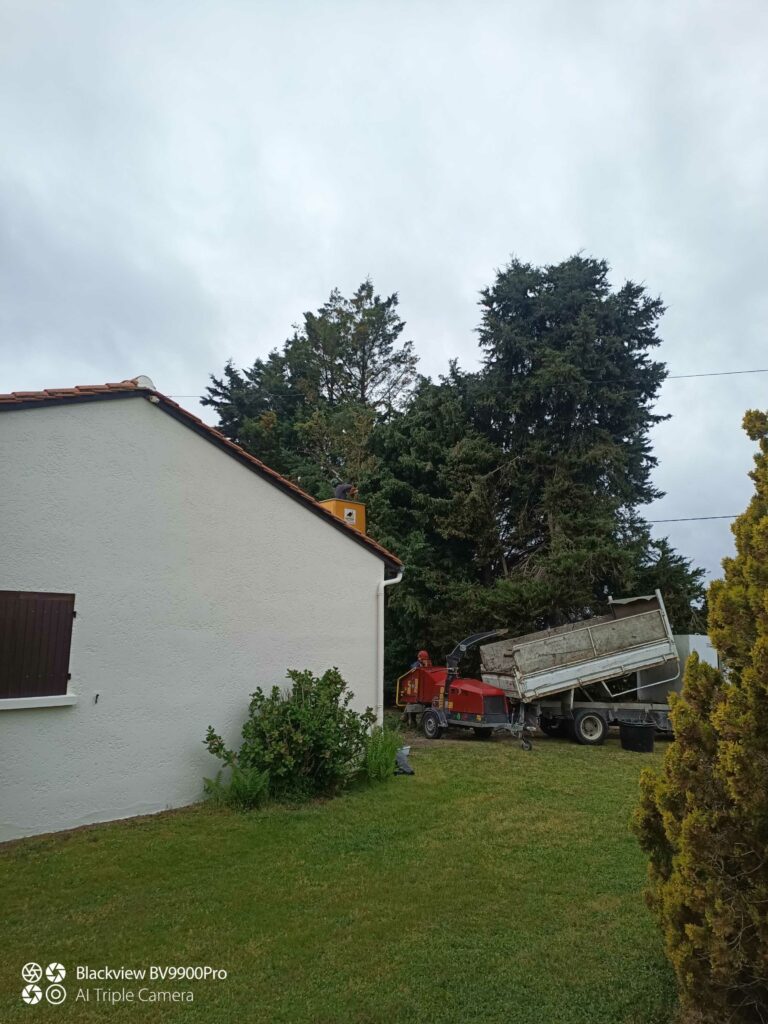 ARBRE JARDIN ENVIRONNEMENT Paysagiste Libourne Elagages Entretien Et Divers 83