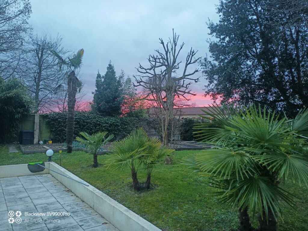 ARBRE JARDIN ENVIRONNEMENT Paysagiste Libourne Elagages Entretien Et Divers 84