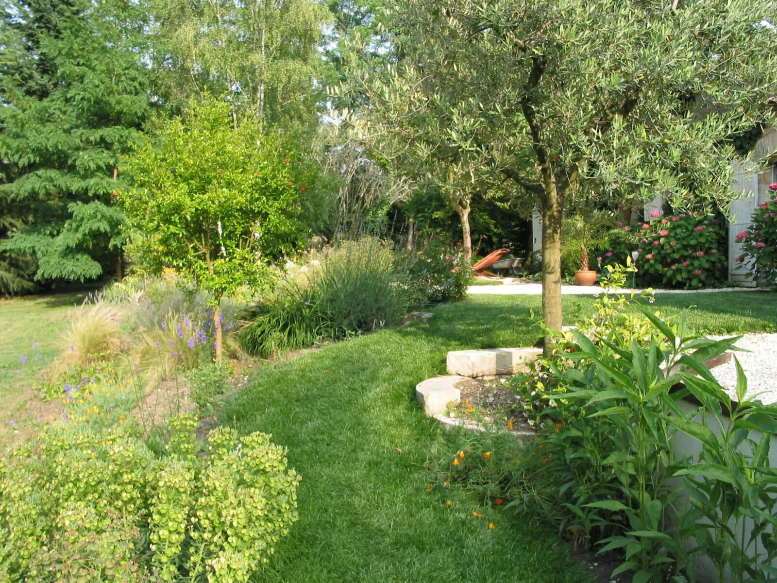 ARBRE JARDIN ENVIRONNEMENT Paysagiste Libourne Massifs Vegetalises 6