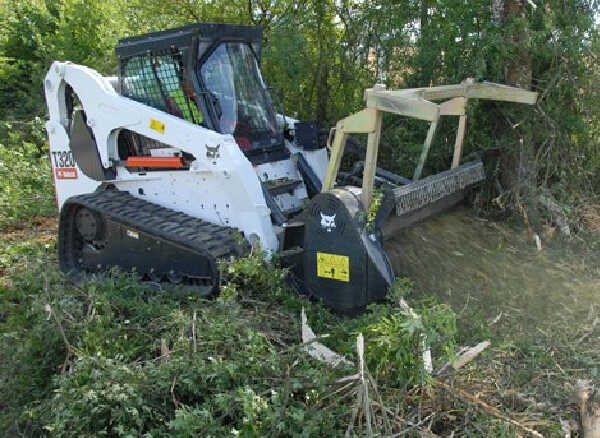 ARBRE JARDIN ENVIRONNEMENT Paysagiste Libourne Img 1