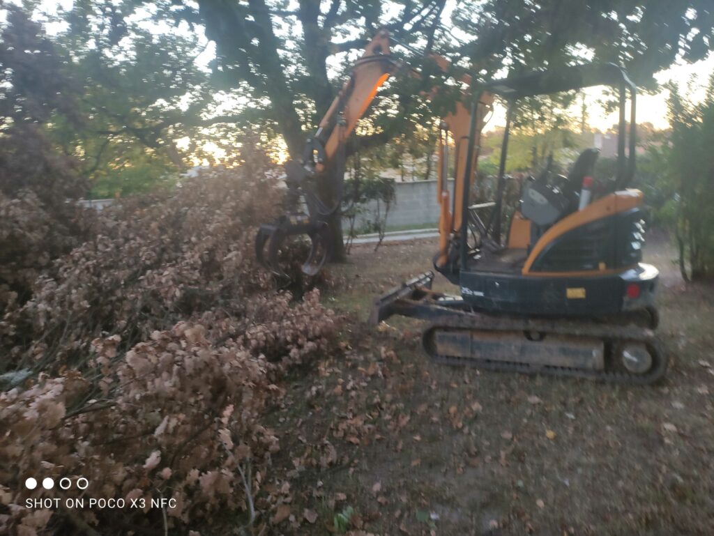 ARBRE JARDIN ENVIRONNEMENT Paysagiste Libourne Img 26