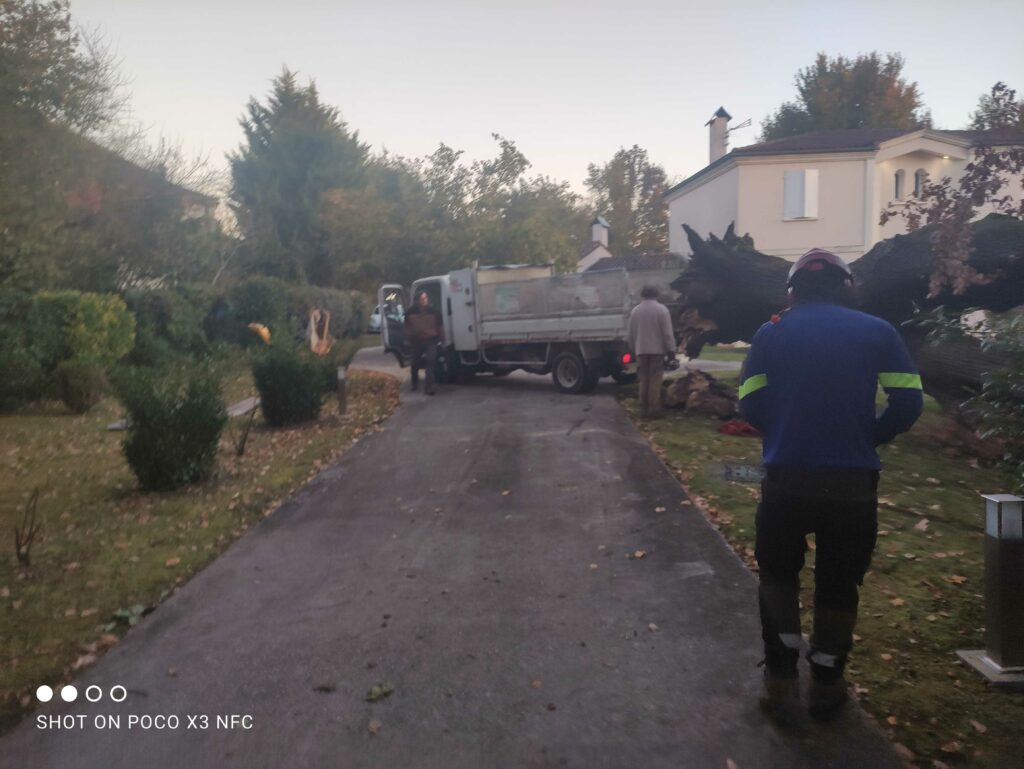 ARBRE JARDIN ENVIRONNEMENT Paysagiste Libourne Img 29