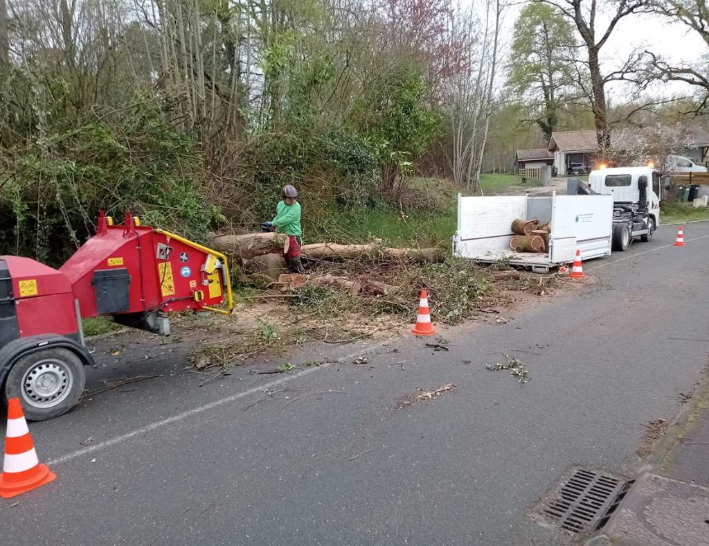 Arbre Jardin Environnement Paysagiste Libourne INTERVENTION DURGENCE SUR LA VOIRIE A YVRAc 3