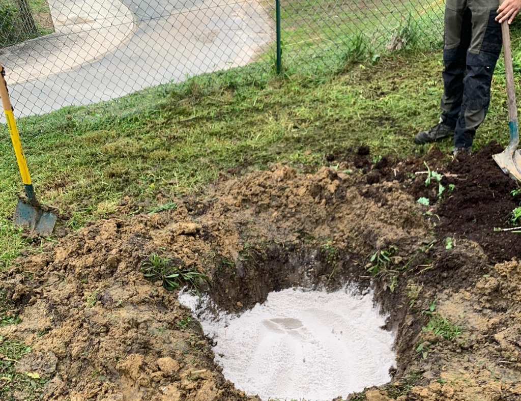 Arbre Jardin Environnement Paysagiste Libourne PLANTATION DANS UN JARDIN PRIVE A LIBOURNE 4