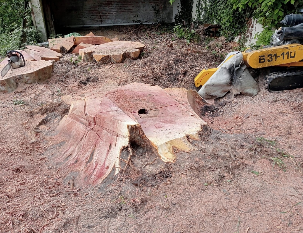 Arbre Jardin Environnement Paysagiste Libourne TRAVAUX DE ROGNAGE DE SOUCHES SUR LE SECTEUR DE LIBOURNE 1