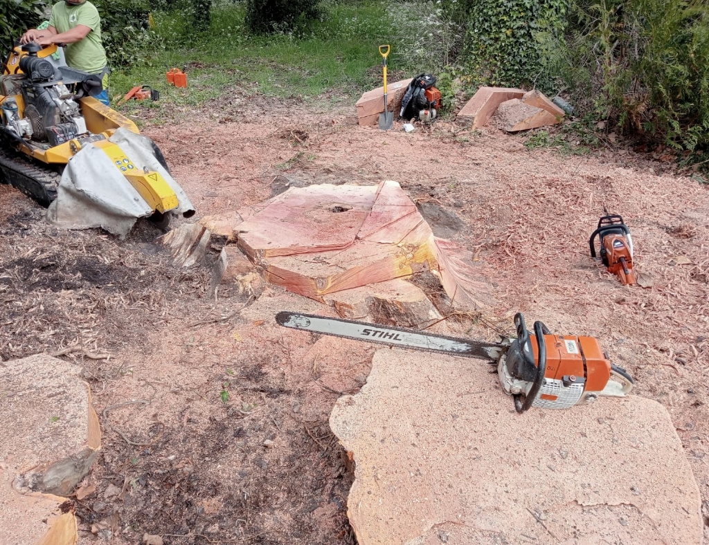 Arbre Jardin Environnement Paysagiste Libourne TRAVAUX DE ROGNAGE DE SOUCHES SUR LE SECTEUR DE LIBOURNE 10