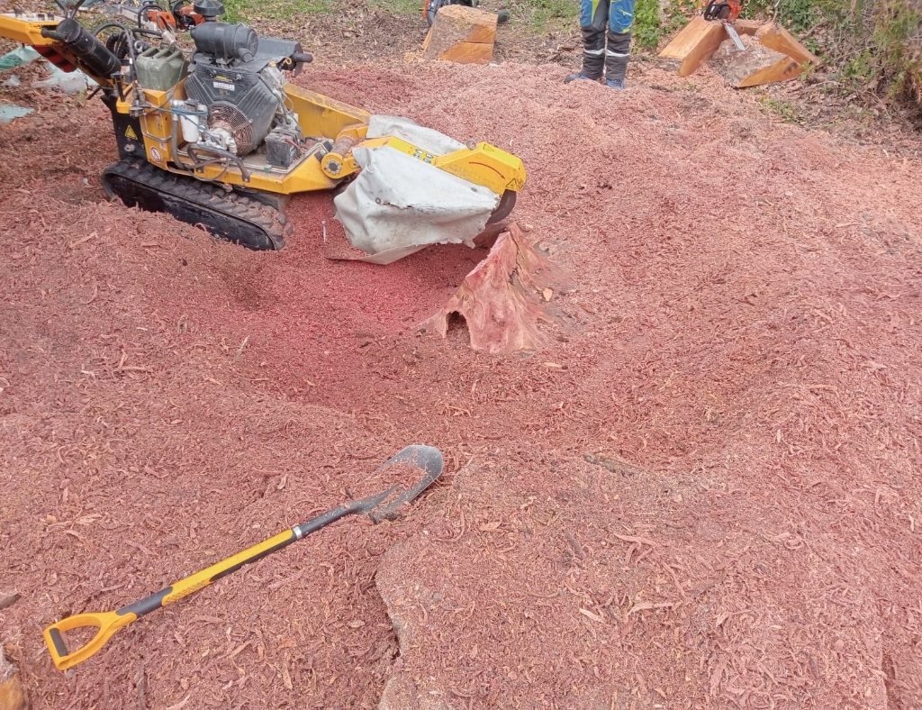 Arbre Jardin Environnement Paysagiste Libourne TRAVAUX DE ROGNAGE DE SOUCHES SUR LE SECTEUR DE LIBOURNE 9