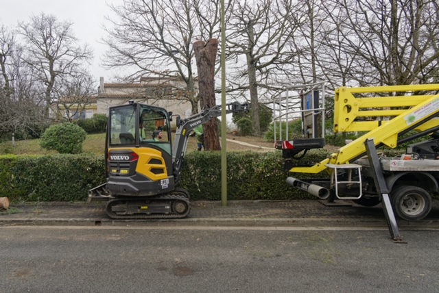 Arbre Jardin Environnement Paysagiste Libourne Realisations 17