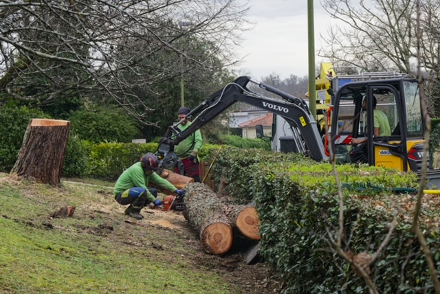 Arbre Jardin Environnement Paysagiste Libourne Realisations 18