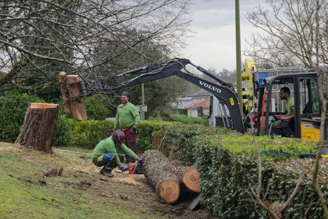 Arbre Jardin Environnement Paysagiste Libourne Realisations 19