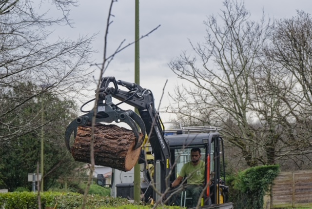 Arbre Jardin Environnement Paysagiste Libourne Realisations 20