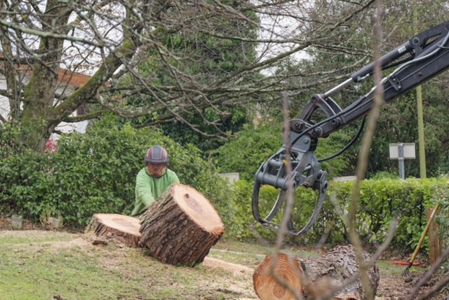 Arbre Jardin Environnement Paysagiste Libourne Realisations 21