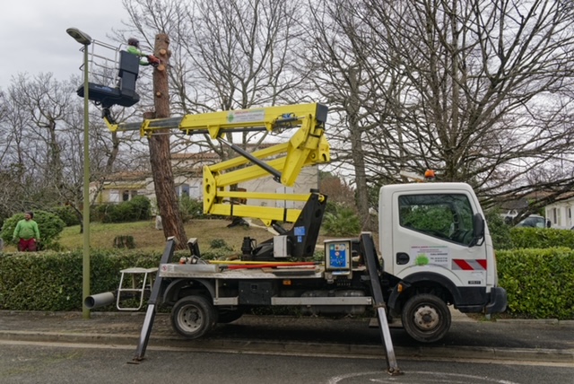 Arbre Jardin Environnement Paysagiste Libourne Realisations 27