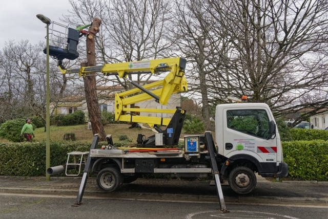 Arbre Jardin Environnement Paysagiste Libourne Realisations 28