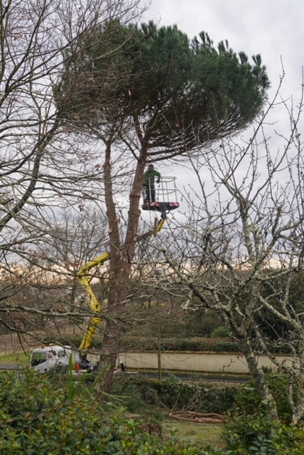 Arbre Jardin Environnement Paysagiste Libourne Realisations 3