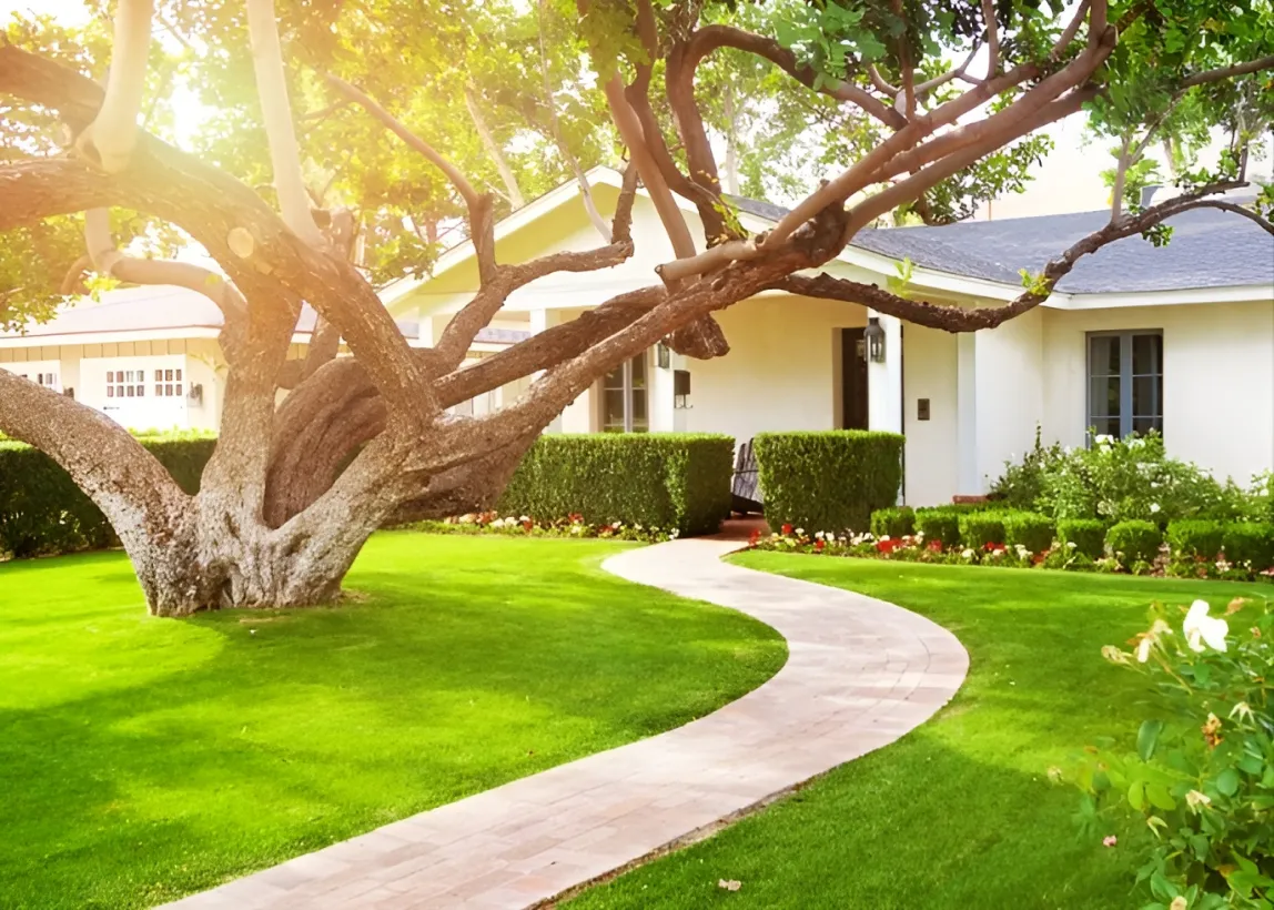 Arbre Jardin Environnement Paysagiste A Libourne ARBRE JARDIN ENVIRONNEMENT Confiez Nous La Creation De Jardin A Beychac Et Caillau Pres De Libourne 1