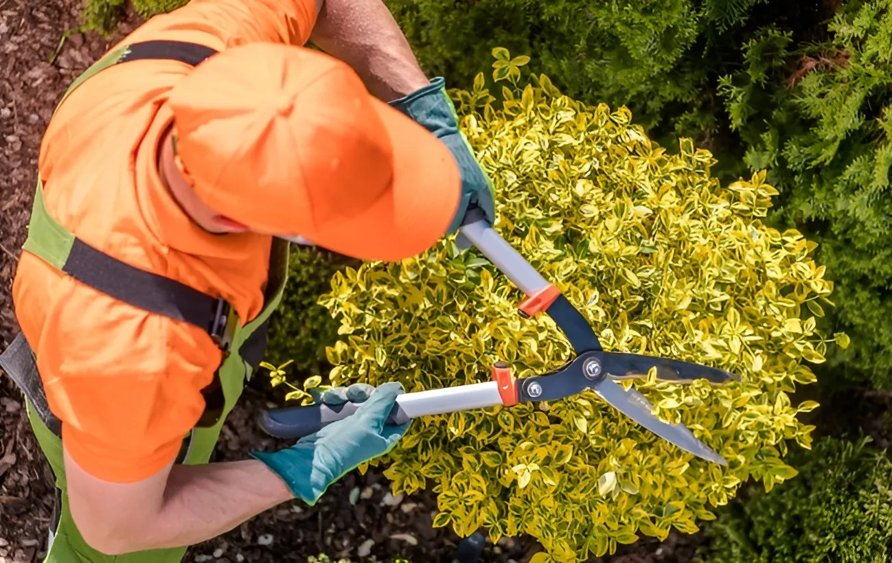 Arbre Jardin Environnement Paysagiste A Libourne ARBRE JARDIN ENVIRONNEMENT Votre Specialiste En Amenagement Exterieur A Beychac Et Caillau Pres De Libourne