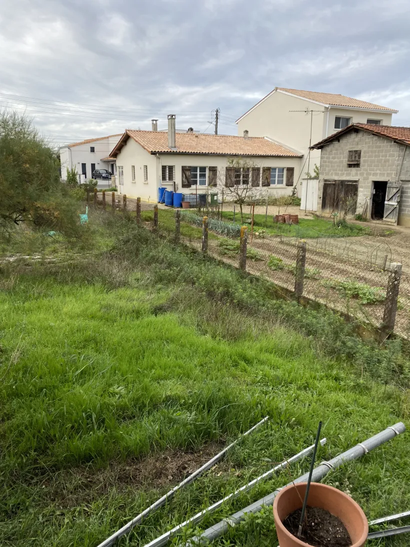 Arbre Jardin Environnement Paysagiste A Libourne ARBRE JARDIN ENVIRONNEMENT Img 4