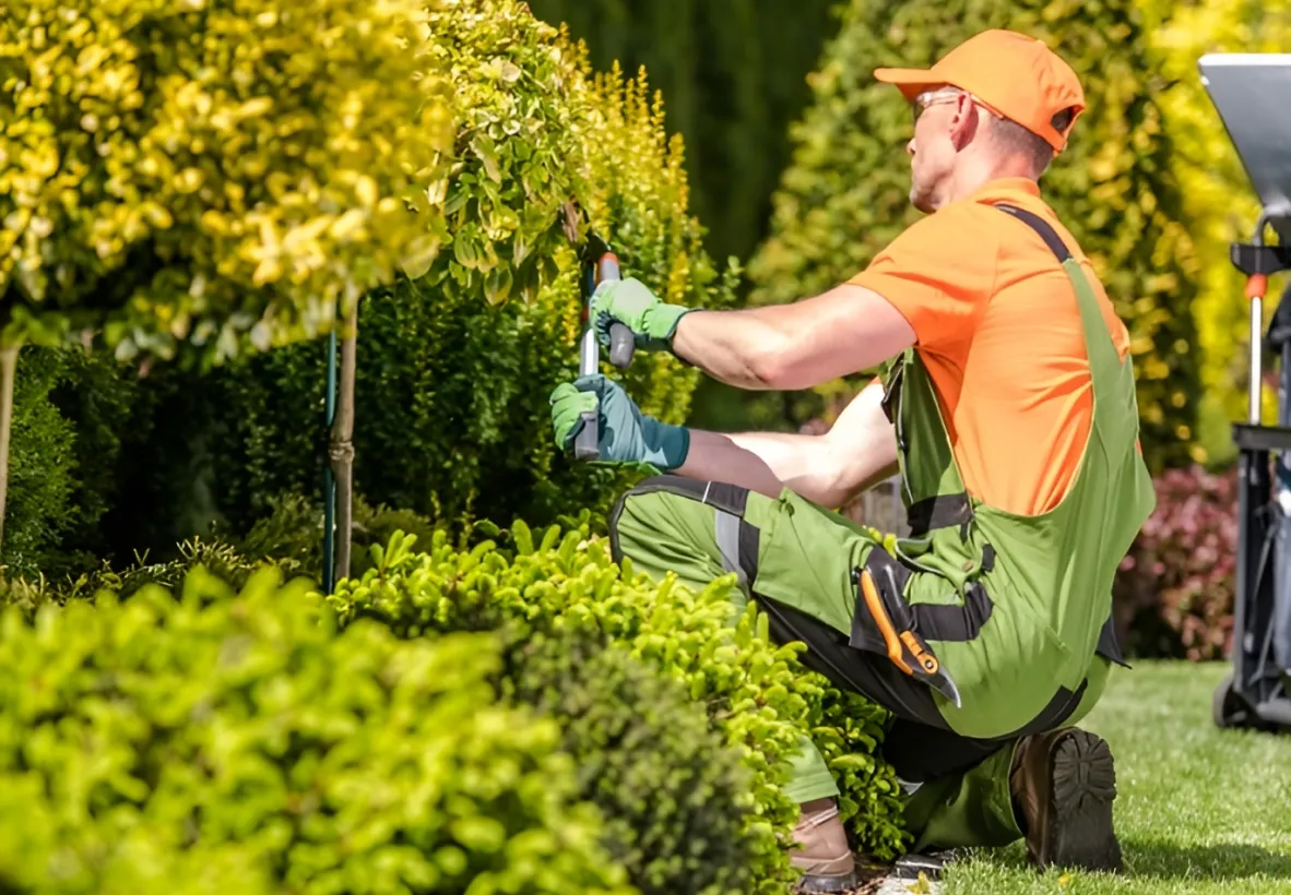 Arbre Jardin Environnement Paysagiste A Libourne ARBRE JARDIN ENVIRONNEMENT Paysagiste Libourne Conception De Jardins 2 1