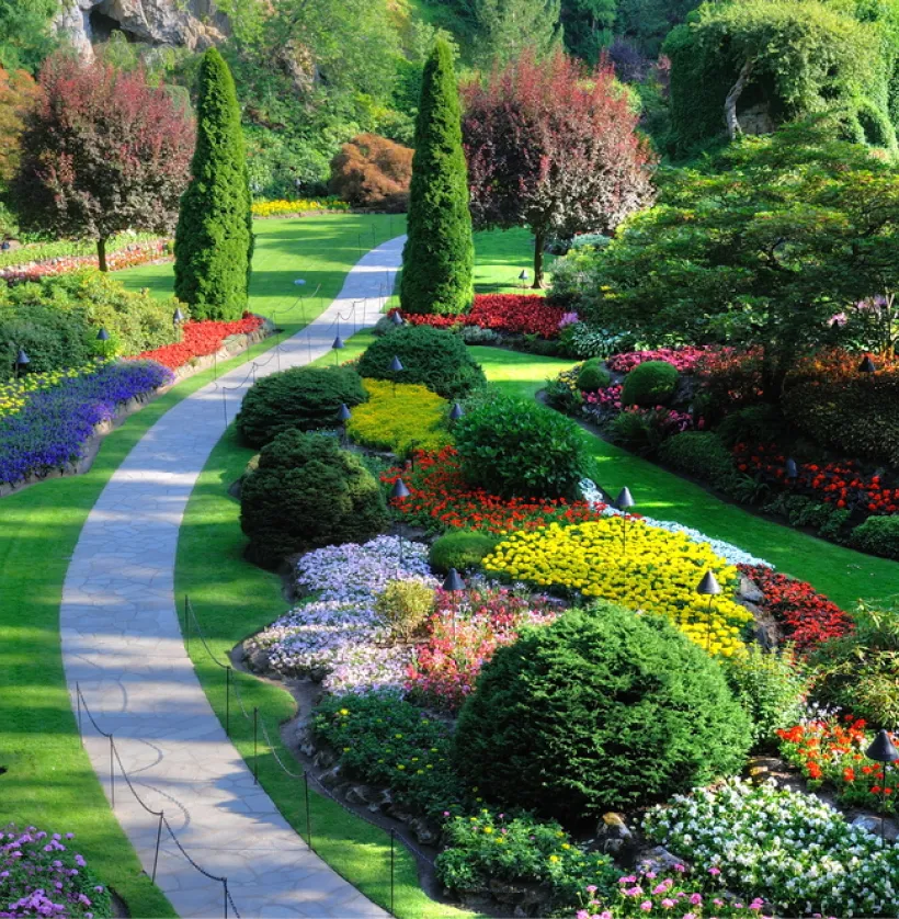 Arbre Jardin Environnement Paysagiste A Libourne Conception De Jardins 1