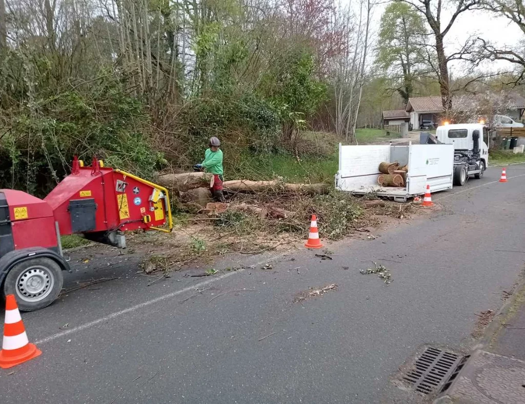 Arbre Jardin Environnement Paysagiste A Libourne INTERVENTION DURGENCE SUR LA VOIRIE A YVRAC 3