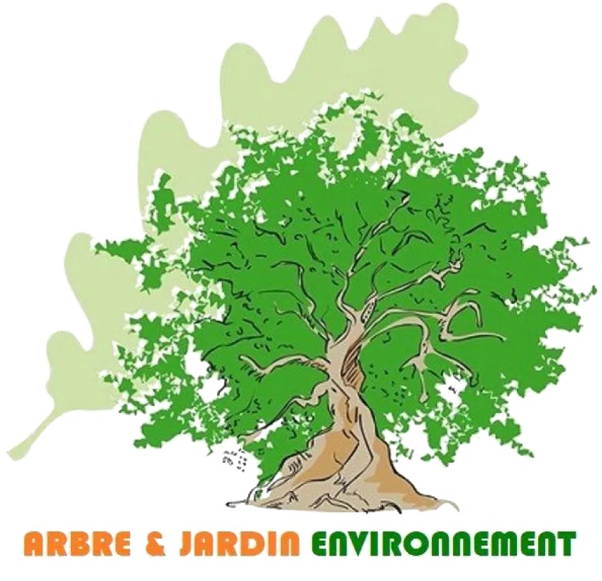 Arbre Jardin Environnement Paysagiste A Libourne Logo Transparent 1