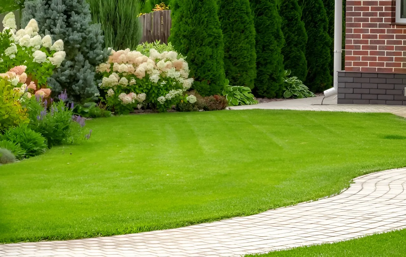 Arbre Jardin Environnement Paysagiste A Libourne Un Paysagiste Passionne Au Service De Votre Espace Vert A Libourne