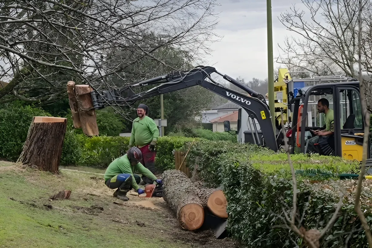 Arbre Jardin Environnement Paysagiste A Libourne Arbre Jardin Environnement Paysagiste Libourne Realisations 19 1