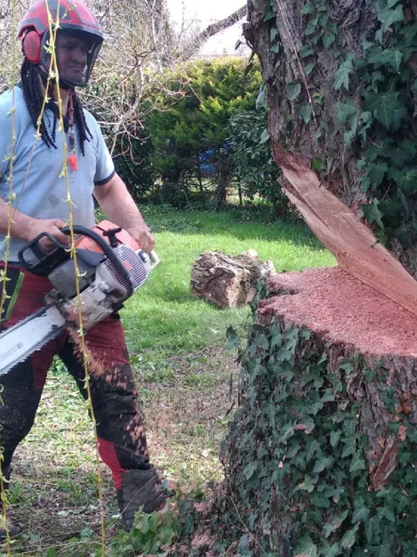 Arbre Jardin Environnement Paysagiste A Libourne Elagage.Abattage