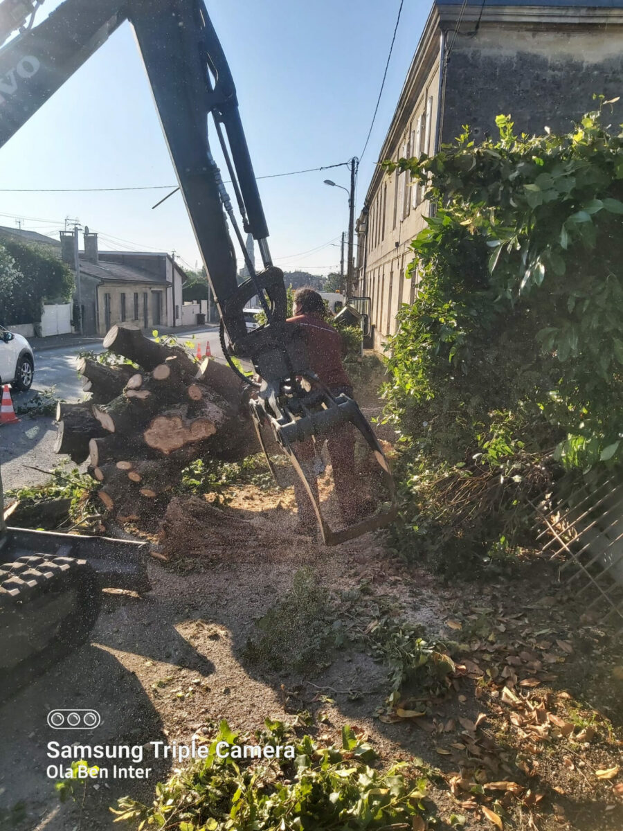 Arbre Jardin Environnement Paysagiste A Libourne WhatsApp Image 2025 07 07 A 19.13.56 Cdc463f3 1