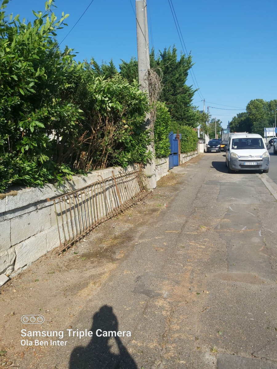 Arbre Jardin Environnement Paysagiste A Libourne WhatsApp Image 2025 07 07 A 19.16.18 Ca182658 1