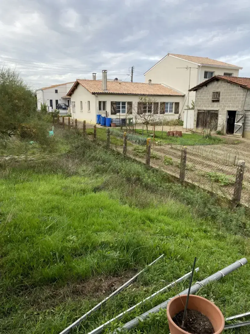 Arbre Jardin Environnement Paysagiste A Libourne Img 4 1 1